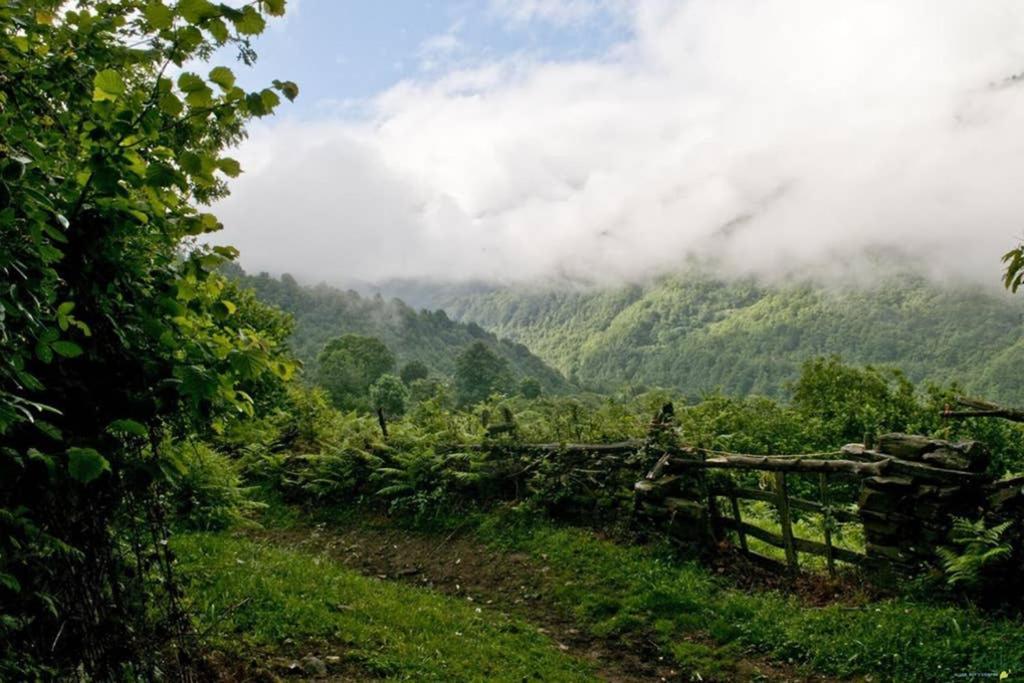 Los Molinos - Atico En Montana De Asturias Felechosa Eksteriør billede
