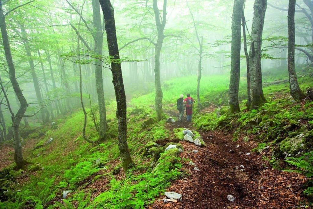 Los Molinos - Atico En Montana De Asturias Felechosa Eksteriør billede